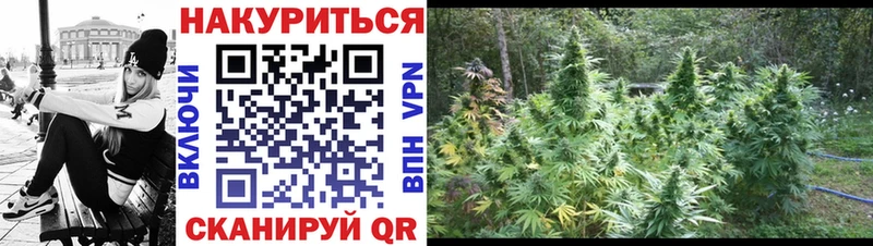 ГАШ Энем