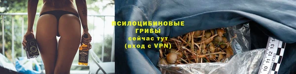 МДМА Дмитровск