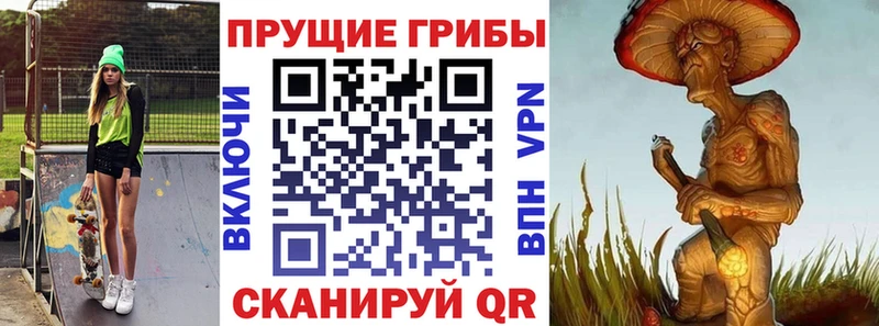 Галлюциногенные грибы Psilocybine cubensis  Энем 